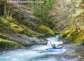 breitenbush river with canoe graphic