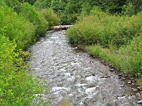 breitenbush river graphic