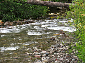 breitenbush river 2 graphic