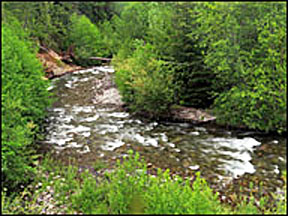 breitenbush river 3 graphic