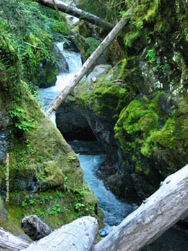 breitenbush gorge graphic