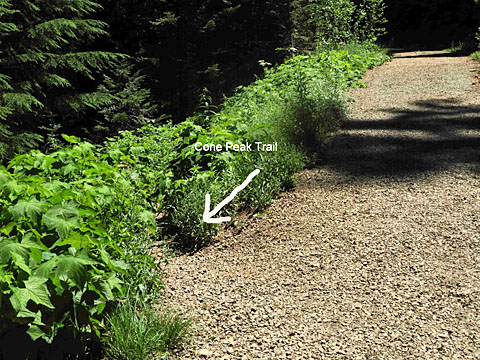 cone peak trail graphic