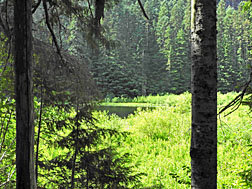 gordon lakes east upper lake 2 graphic
