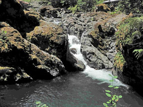 middle santiam falls graphic