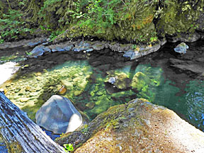 middle santiam pond graphic
              