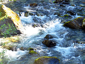 breitenbush rapids graphic