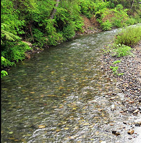 south santiam river 5 graphic