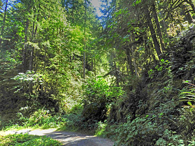 wagon road trail 1 graphic